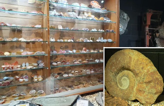 Kuranda Original Rainforest Market - Emu Fossil Rock Mueseum