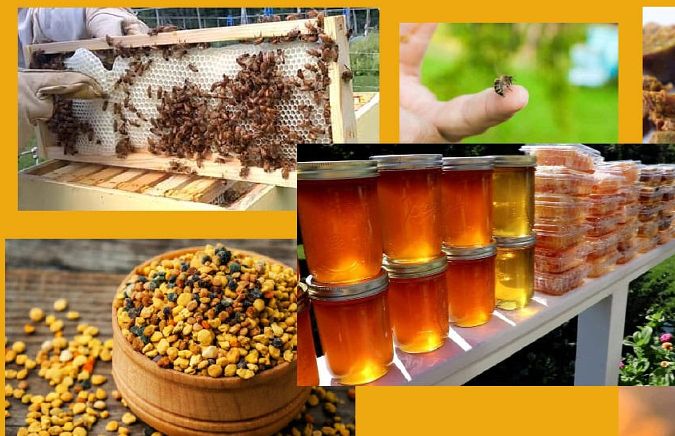 Kuranda Original Rainforest Market - Natural Honey Products