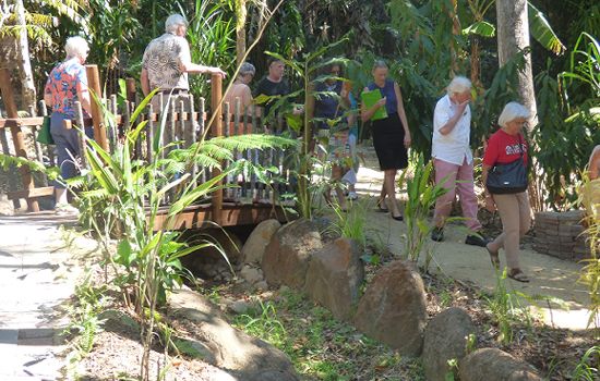 Kuranda Original Rainforest Market Botanic Gardens Venue